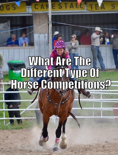 horse competitions